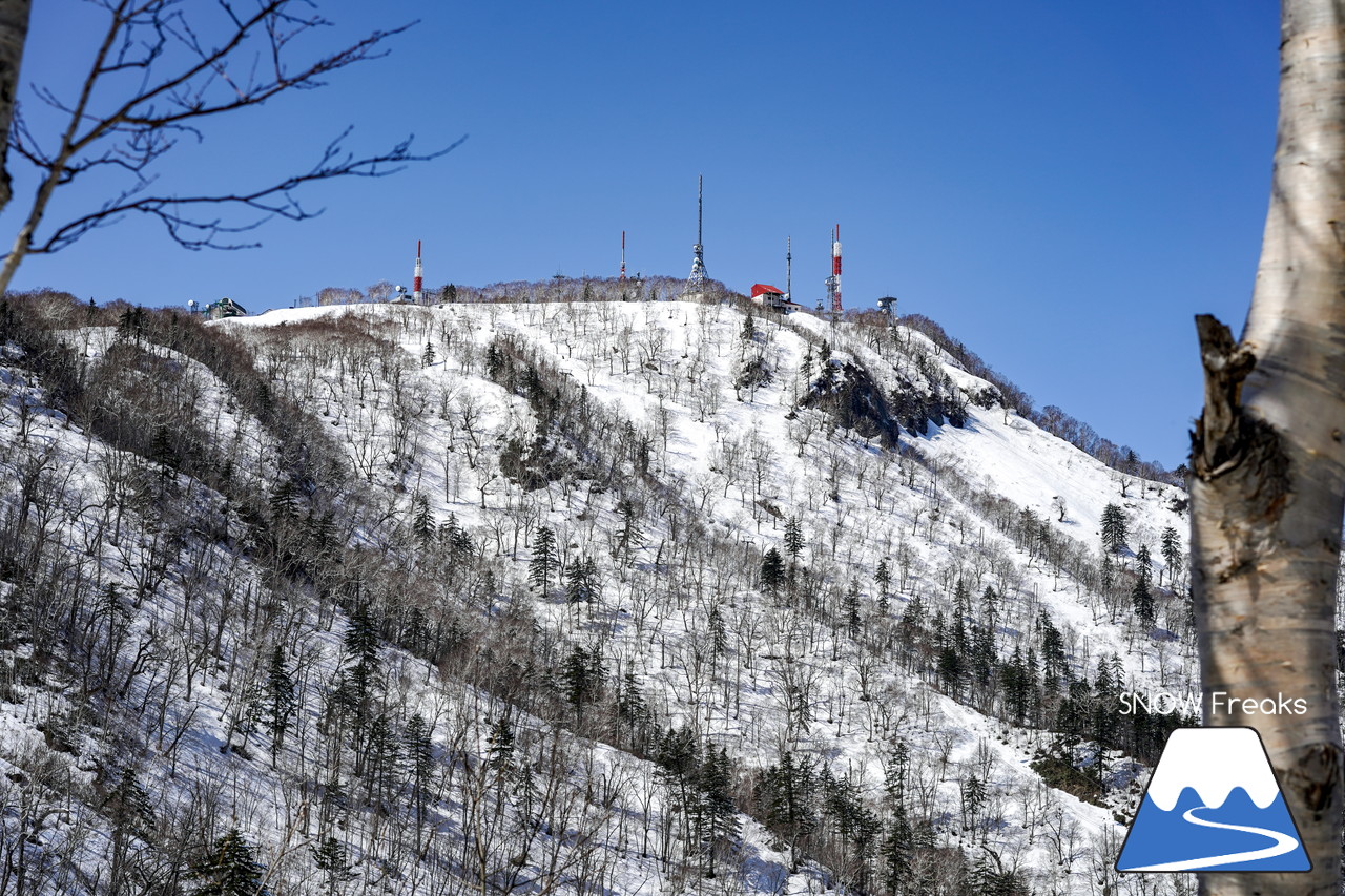 サッポロテイネ　真っ白な雪、澄んだ青空。ゴールデンウィーク２日目は、旭岳～羊蹄山まで見渡せる絶好の春スキー＆スノーボード日和に☆